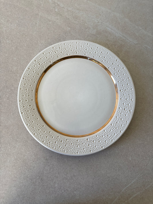 Dinner plate (20pcs)